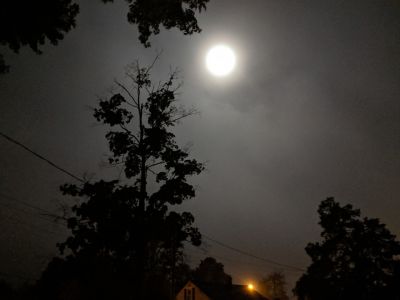 HarvestMoon1.jpg