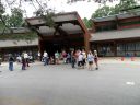 Hemlocks_MDA2010__155_resize.JPG