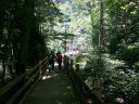 Filename=tenn_145.jpg
Filesize=234KiB
Dimensions=1000x750
Date added=Oct 30, 2020 tenn_145.jpg