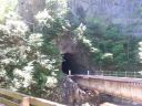 Filename=tenn_148.jpg
Filesize=180KiB
Dimensions=1000x750
Date added=Oct 30, 2020 tenn_148.jpg