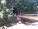 Filename=tenn_153.jpg
Filesize=183KiB
Dimensions=1000x750
Date added=Oct 30, 2020 tenn_153.jpg