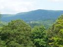 Filename=tenn_159.jpg
Filesize=142KiB
Dimensions=1000x750
Date added=Oct 30, 2020 tenn_159.jpg