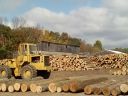 Hull_Forestry_005.jpg