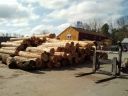 Hull_Forestry_006.jpg