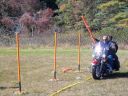 Filename=100_0287_resize.JPG
Filesize=838KiB
Dimensions=2000x1500
Date added=Oct 30, 2020 100_0287_resize.JPG