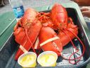 Vac_2010_Bar_Harbor_076_resize.jpg